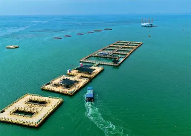 海洋经济踏浪逐梦6