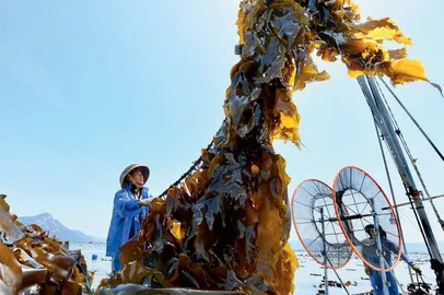 海洋经济踏浪逐梦7