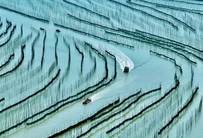 海洋经济踏浪逐梦8