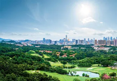 “组团联网”，现代化城市群这么建