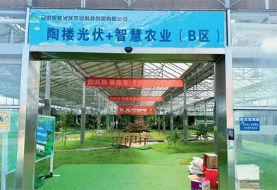 安徽长丰：小县城盘活大能源2