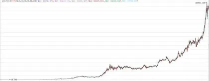 年内领涨 宠物经济正在上升过程中4