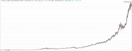 年内领涨 宠物经济正在上升过程中5