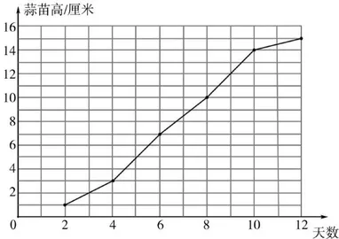以形说理：小学数学提质减负课堂教学策略研究2