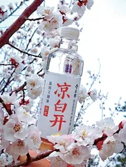 打造第二招牌，实现跨周期增长