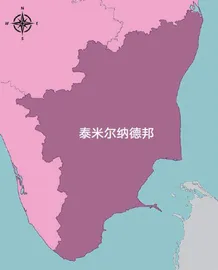 知识之光：文本的力量1