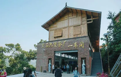 解密古法社前六堡茶