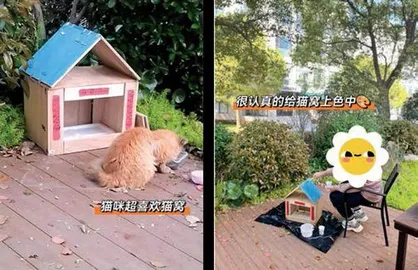 需求涌来，“休学中心”遍地开花2