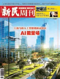 在AI大会感受未来之城（2025年 第27期）