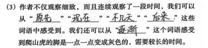 《语文作业本》有效回归课堂策略研究