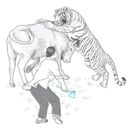 三个母亲