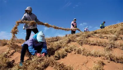 给沙漠“锁边”：“三北”工程的47年1