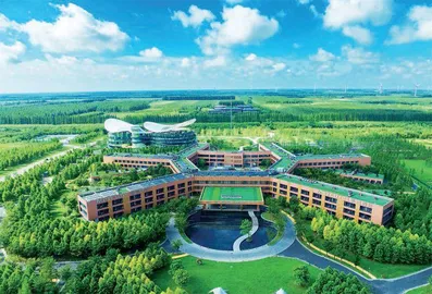 江苏东台生态新样本：湿地里的华尔街