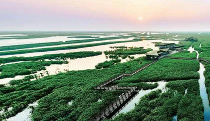   入选国际湿地城市，“崇明生态智慧”迎来新起点