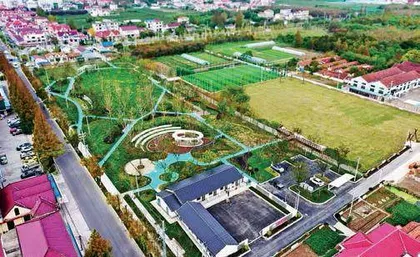   入选国际湿地城市，“崇明生态智慧”迎来新起点2