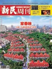 新村与地名变迁（2025年 第29期）