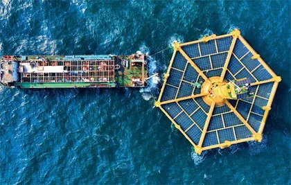 海面之下，打造中国下一个粮仓
