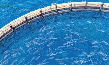 海面之下，打造中国下一个粮仓2