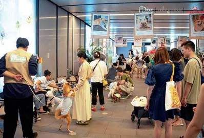“毛孩子”变家人，城市如何更“宠”爱？4