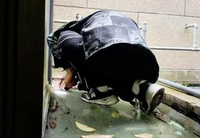 为宠物花钱，竟有这么多新花样！2