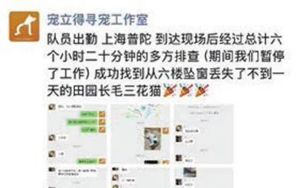 为宠物花钱，竟有这么多新花样！3