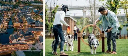 @铲屎官,速速码住这份“毛孩子”撒欢地图11