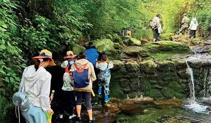 八岁孤独症男童遇难背后2