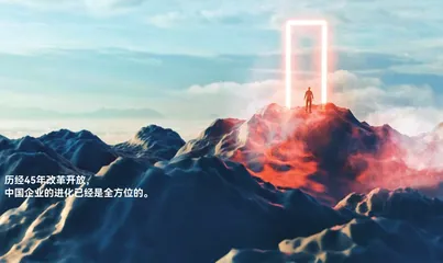 打开“盲盒”:改革开放45年中国企业的进化与未来1
