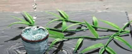 光瓶酒能否助泸州老窖脱困当下？