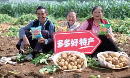 拼多多发布Q2财报，“百亿减免”一周年，真金白银反哺产业生态