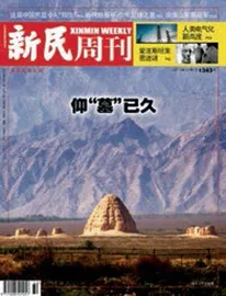 从参加“晚报杯”到采访“晚报杯”（2025年 第32期）