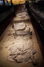 “黄肠题凑”再现,大葆台汉墓重新迎客3