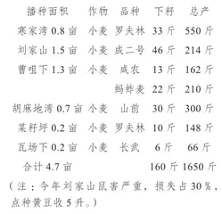 大树下