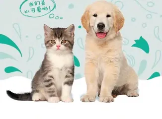 什么样的社群能让用户“上瘾”?1