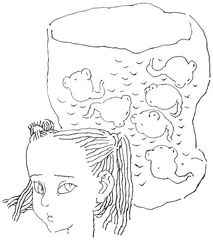 蝌 蚪