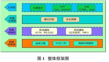 中药材空-天-地立体监测平台的顶层设计与应用