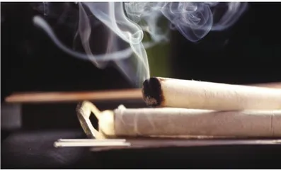 小小之穴，大有所为