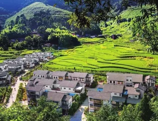 重庆梁平:护湿地之美 建生态之城1