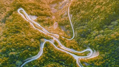 巾子峰:不可错过的森林康养地2