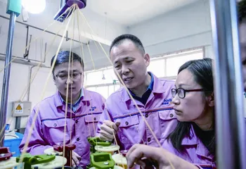 海丽雅:把绳子做到“上天入海”2