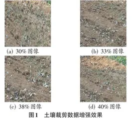 基于深度学习的土壤检测及其适种农作物的选择