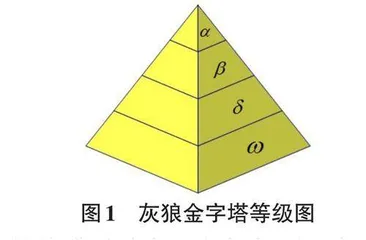 基于改进灰狼算法自适应BP神经网络的电量预测研究