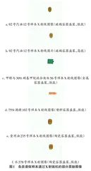 基于卷积神经网络的X射线图像危险液体识别