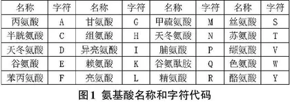 基于KMP算法的生物序列模式自动识别应用研究