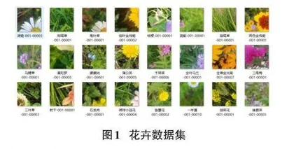 基于ResNet152的花卉识别研究