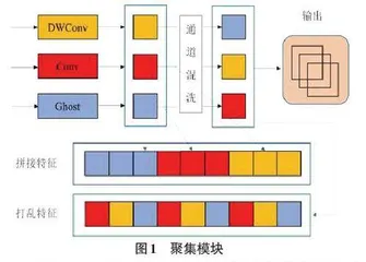 基于轻量级网络的眼表疾病识别方法研究0