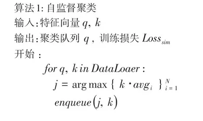 基于自监督聚类算法的小样本医学图像分类