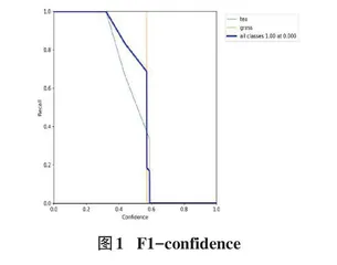 基于YOLO训练网络的茶园植物智能识别算法设计与实践应用