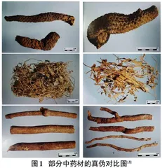数字图像处理技术在中药材及饮片鉴定领域的应用