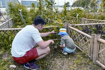 拥有一片菜地的快乐,谁懂1